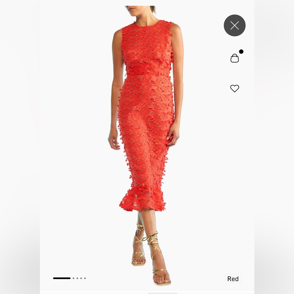 Cynthia Rowley 3D embroidered tulle flower dress, 6 ( runs like 4)